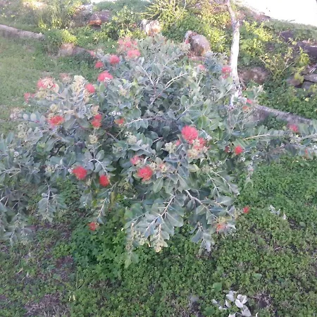 Casa Vacanze Margherita