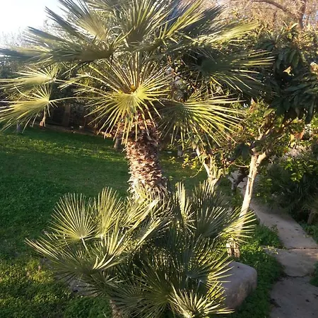 Casa Vacanze Margherita *